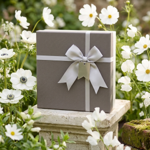 Satin Bow Gift Box